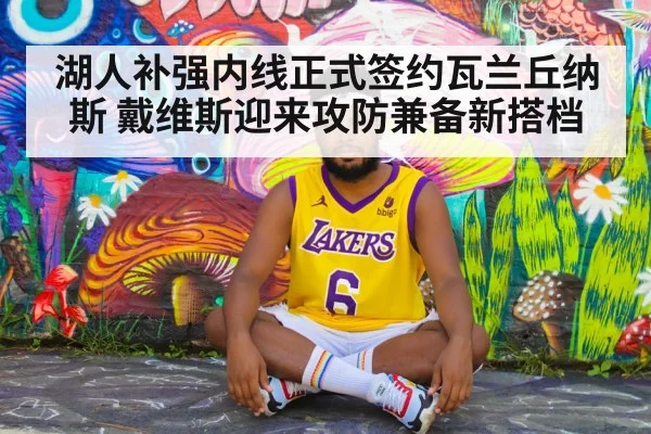 湖人补强内线正式签约瓦兰丘纳斯 戴维斯迎来攻防兼备新搭档